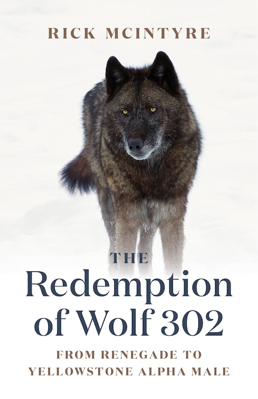 Front cover_The Redemption of Wolf 302