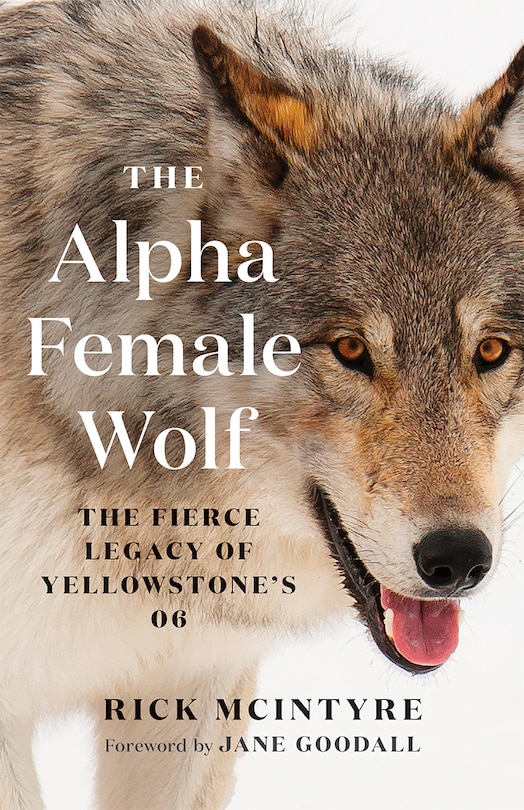Front cover_The Alpha Female Wolf