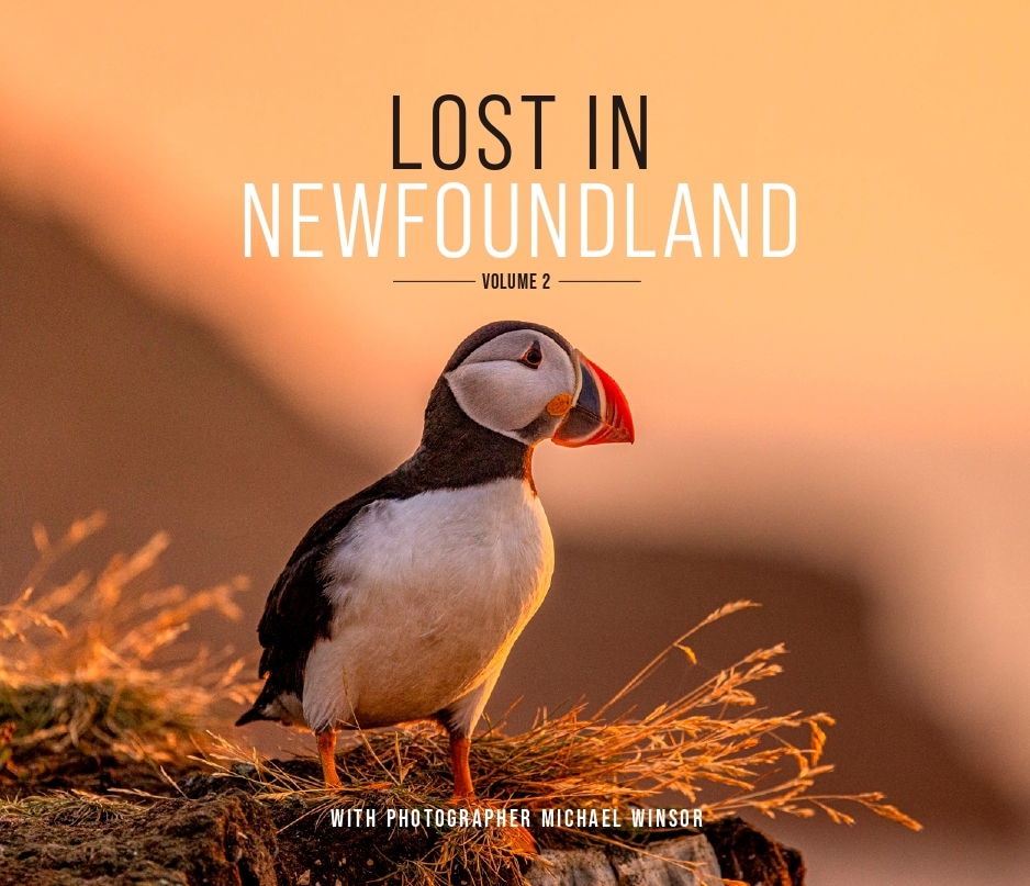 Lost In Newfoundland: Volume 2 ('tc') | Indigo