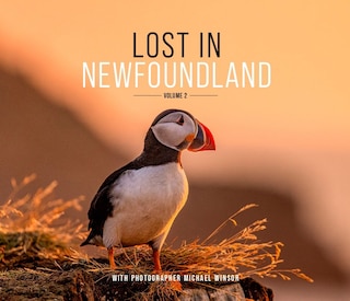 Front cover_Lost in Newfoundland: Volume 2