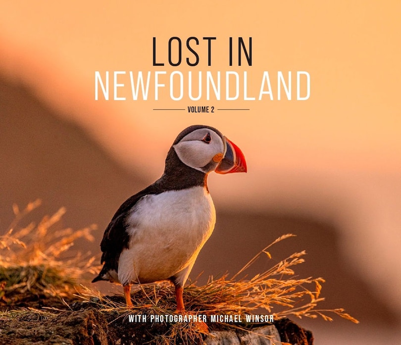 Front cover_Lost in Newfoundland: Volume 2
