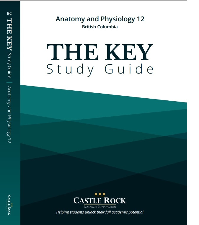 Couverture_Anatomy and Physiology (British Columbia)