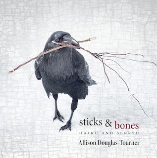 Front cover_Sticks & Bones