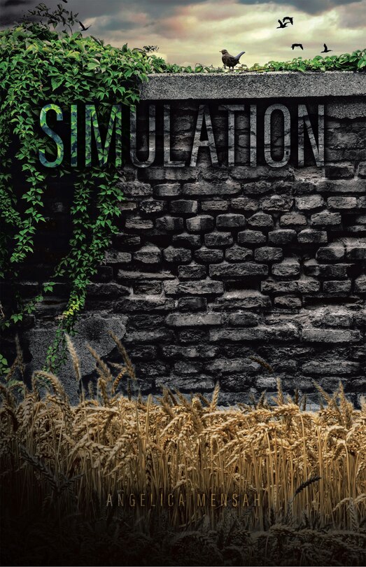 Couverture_Simulation