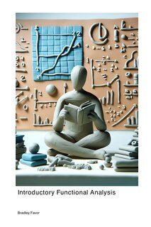 Couverture_Introductory Functional Analysis