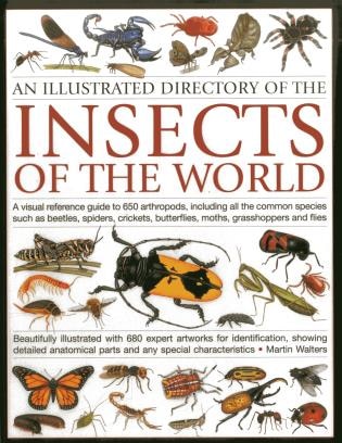 An Illustrated Directory of the Insects of the World: A visual reference guide to 650 arthropods, including all the common insect species such as beetles, spiders, butterflies, moths, grasshoppers and flies, beautifully illustrated with 680 expert artworks