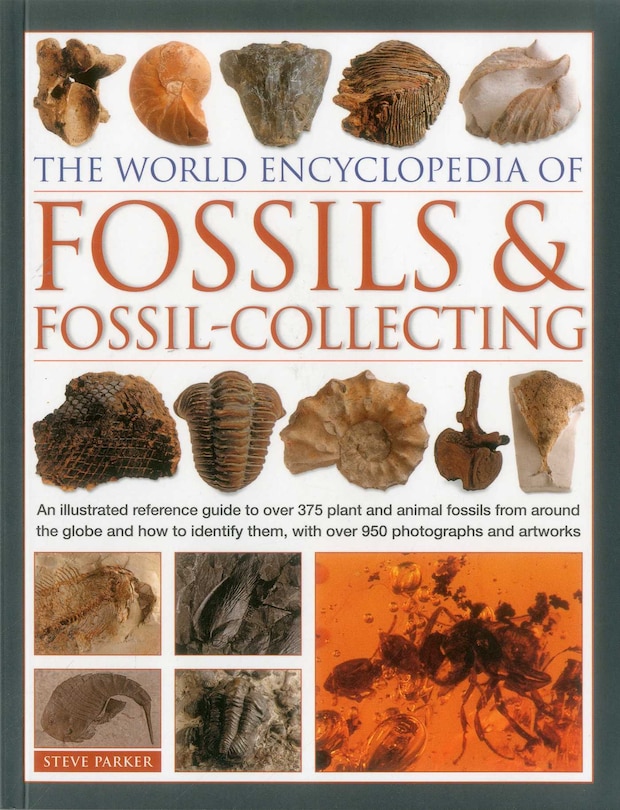 Front cover_The World Encyclopedia of Fossils & Fossil-Collecting: