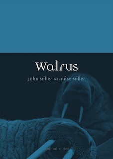 Walrus