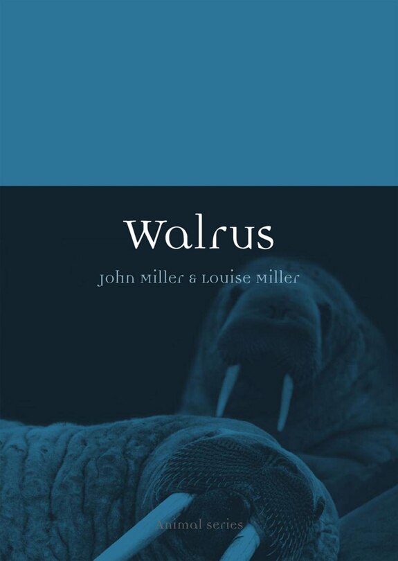 Walrus