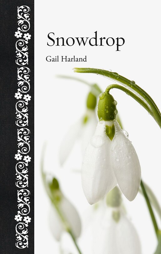 Couverture_Snowdrop