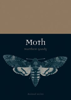 Front cover_Moth