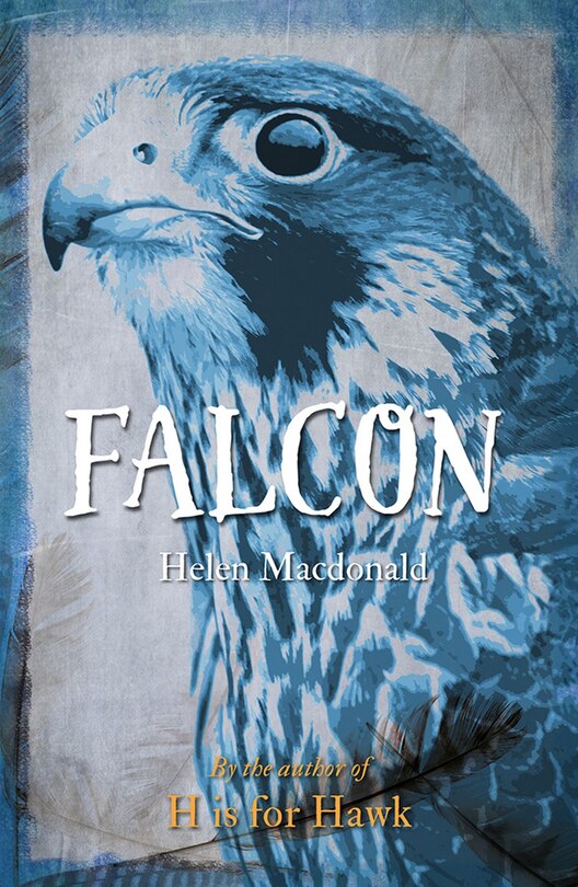 Front cover_Falcon