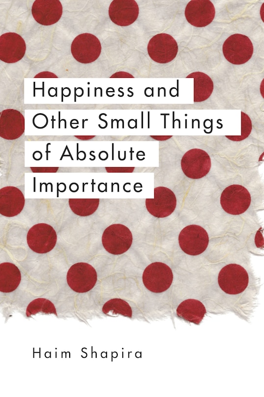 Couverture_Happiness And Other Small Things Of Absolute Importance