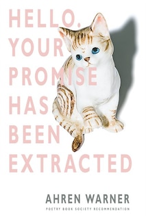 Front cover_Hello. Your Promise Has Been Extracted