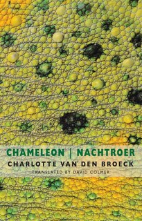 Chameleon   Nachtroer