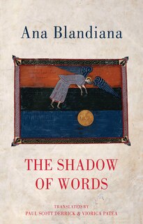 Front cover_The Shadow of Words