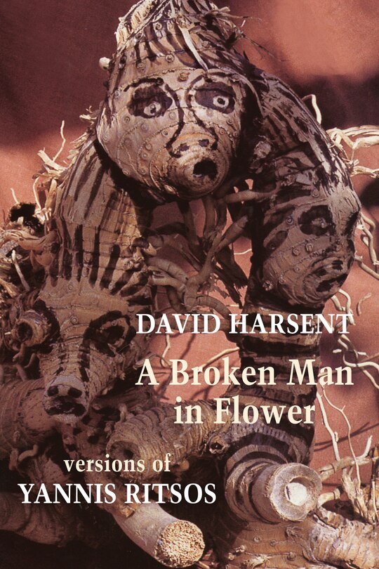 Couverture_A Broken Man in Flower