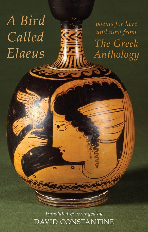 Front cover_A Bird Called Elaeus
