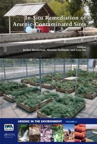 Front cover_In-situ Remediation Of Arsenic-contaminated Sites