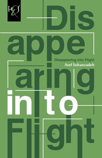 Couverture_Disappearing Into Flight