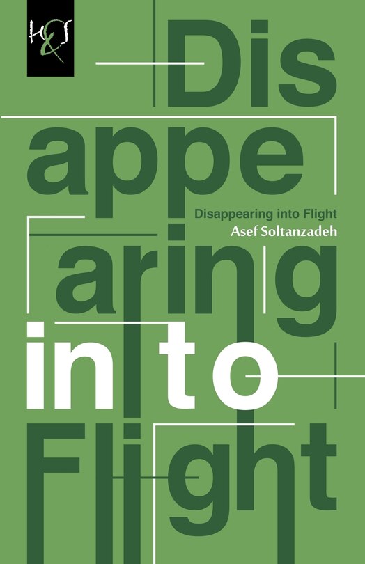 Couverture_Disappearing Into Flight