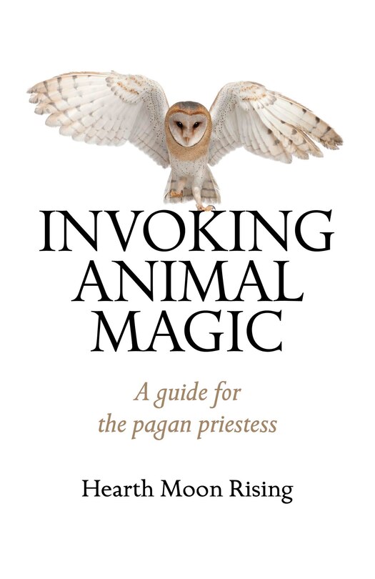 Couverture_Invoking Animal Magic