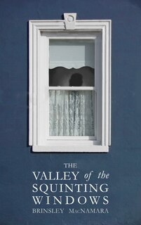 Couverture_The Valley Of The Squinting Windows