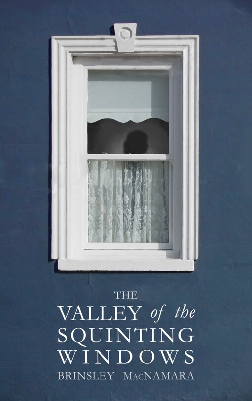 Couverture_The Valley Of The Squinting Windows