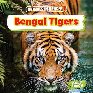 Front cover_Bengal Tigers