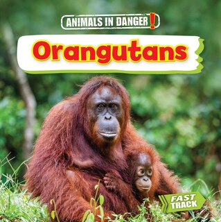 Front cover_Orangutans