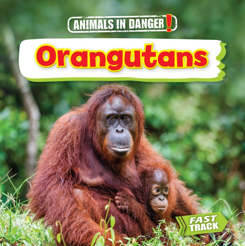 Front cover_Orangutans