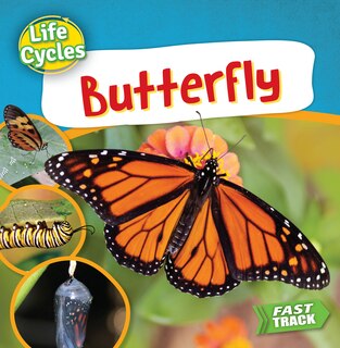Front cover_Butterfly