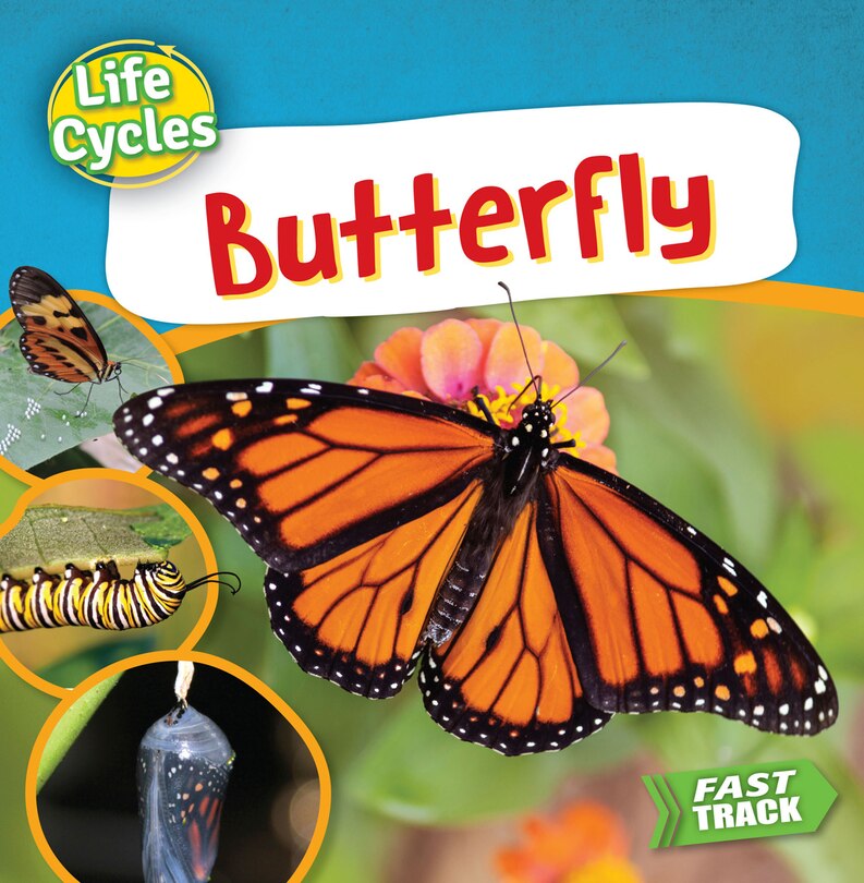 Front cover_Butterfly