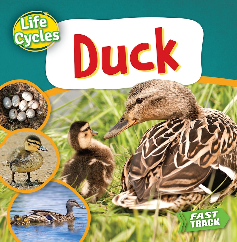 Front cover_Duck