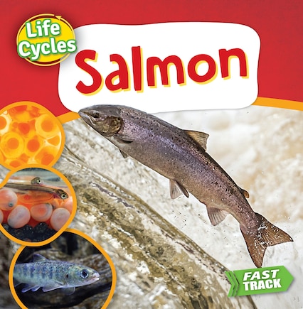 Salmon