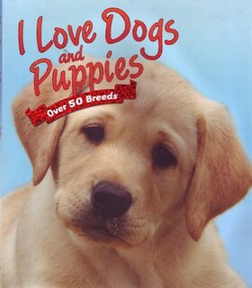 My Best Dogs And Puppies