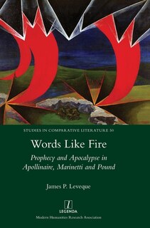Couverture_Words Like Fire