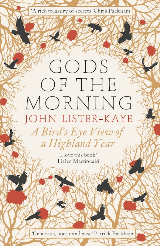 Couverture_Gods Of The Morning