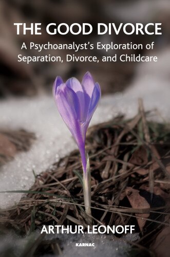 Front cover_The Good Divorce