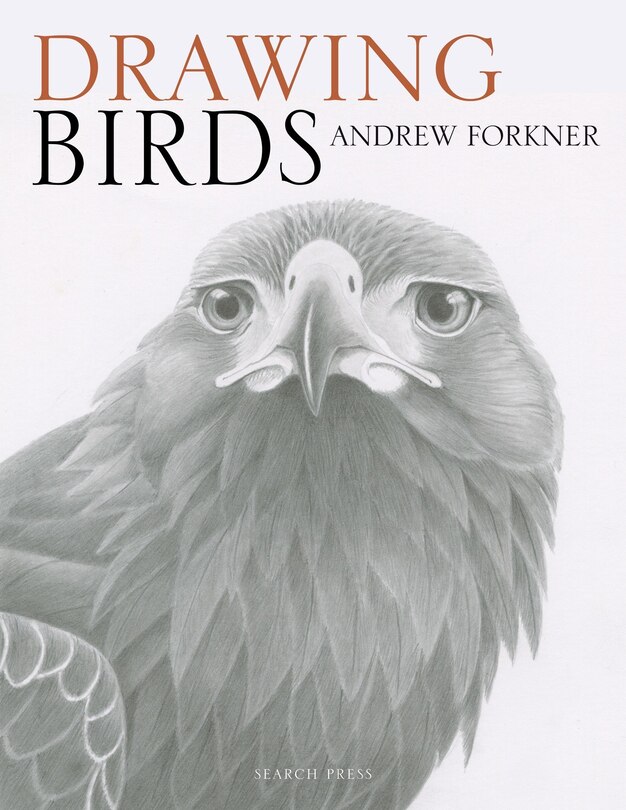 Front cover_Drawing Birds