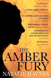 Front cover_The Amber Fury