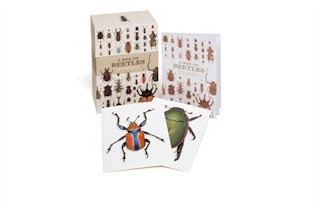 Front cover_A Box of Beetles