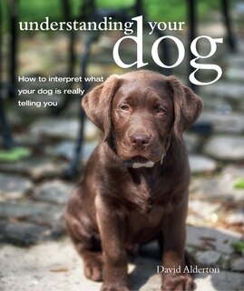 Couverture_Understanding Your Dog
