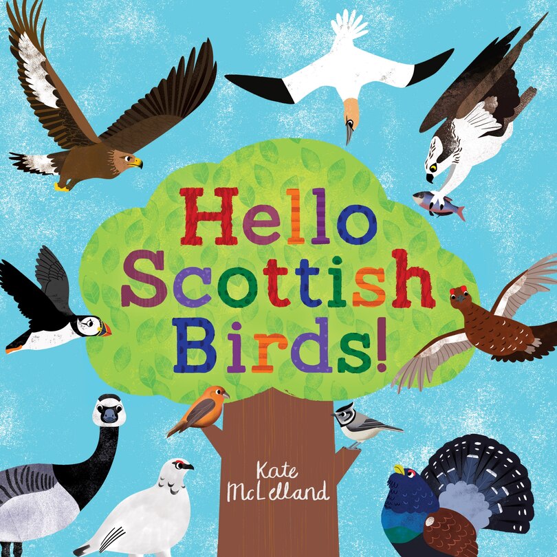 Couverture_Hello Scottish Birds