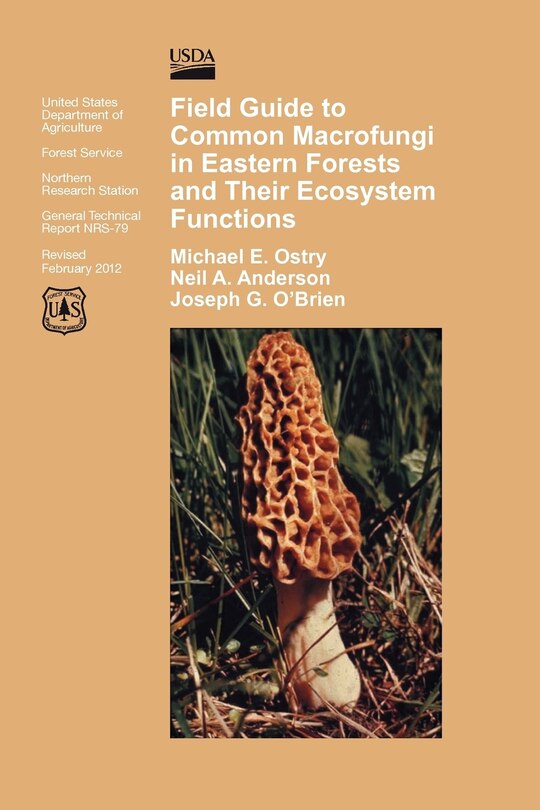 Couverture_Field Guide to Common Macrofungi in Eastern Forests and Their Ecosystem Function