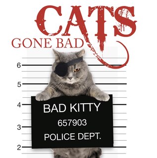 Front cover_CATS GONE BAD