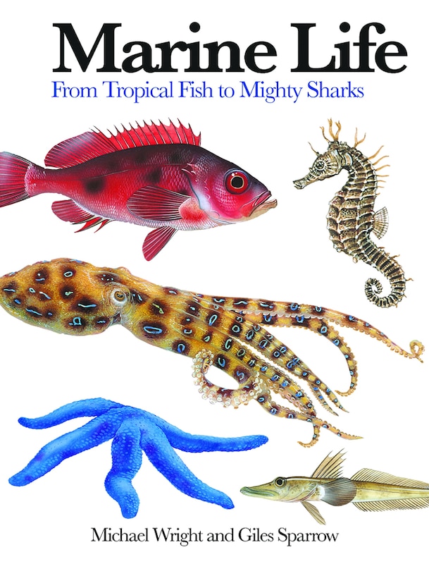 Front cover_Marine Life