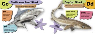 Couverture_A–Z of Sharks
