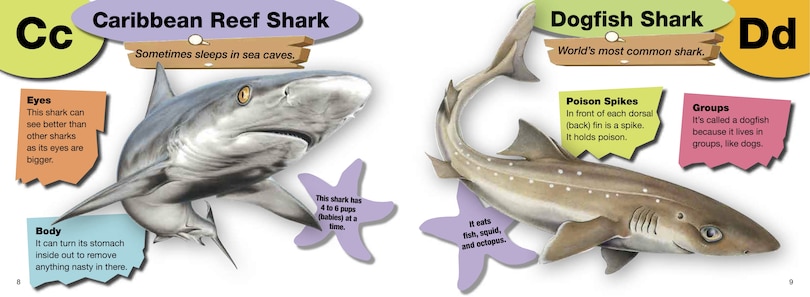 Couverture_A–Z of Sharks
