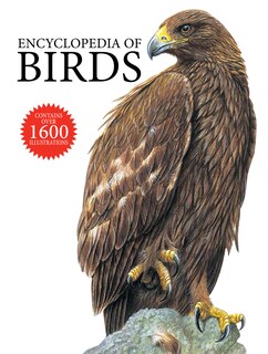 Encyclopedia Of Birds